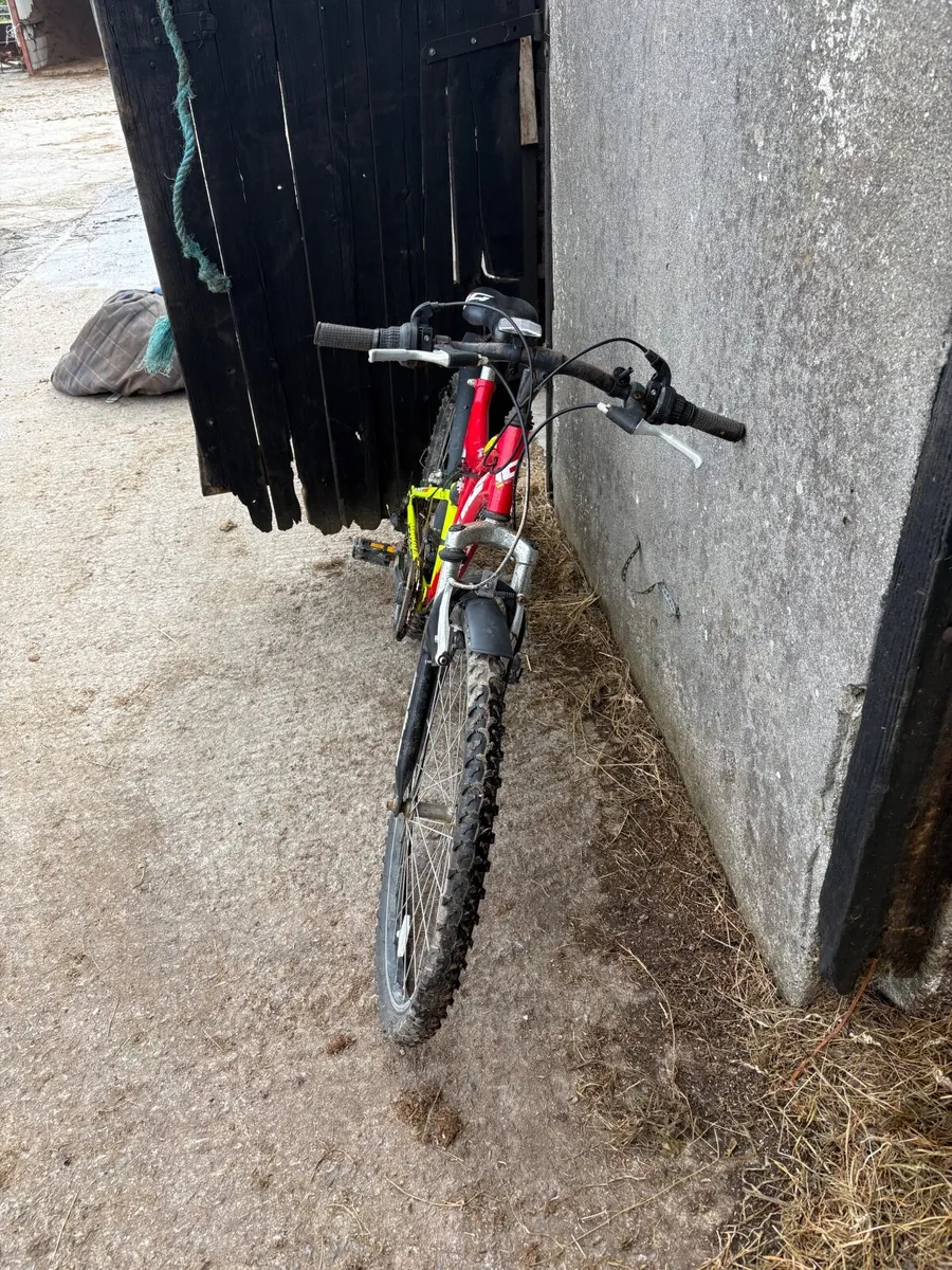 Child / Adult Bicycles in Red and Black - Image 1