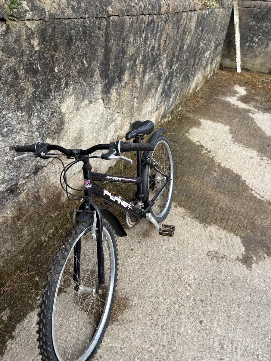 Child / Adult Bicycles in Red and Black - Image 2