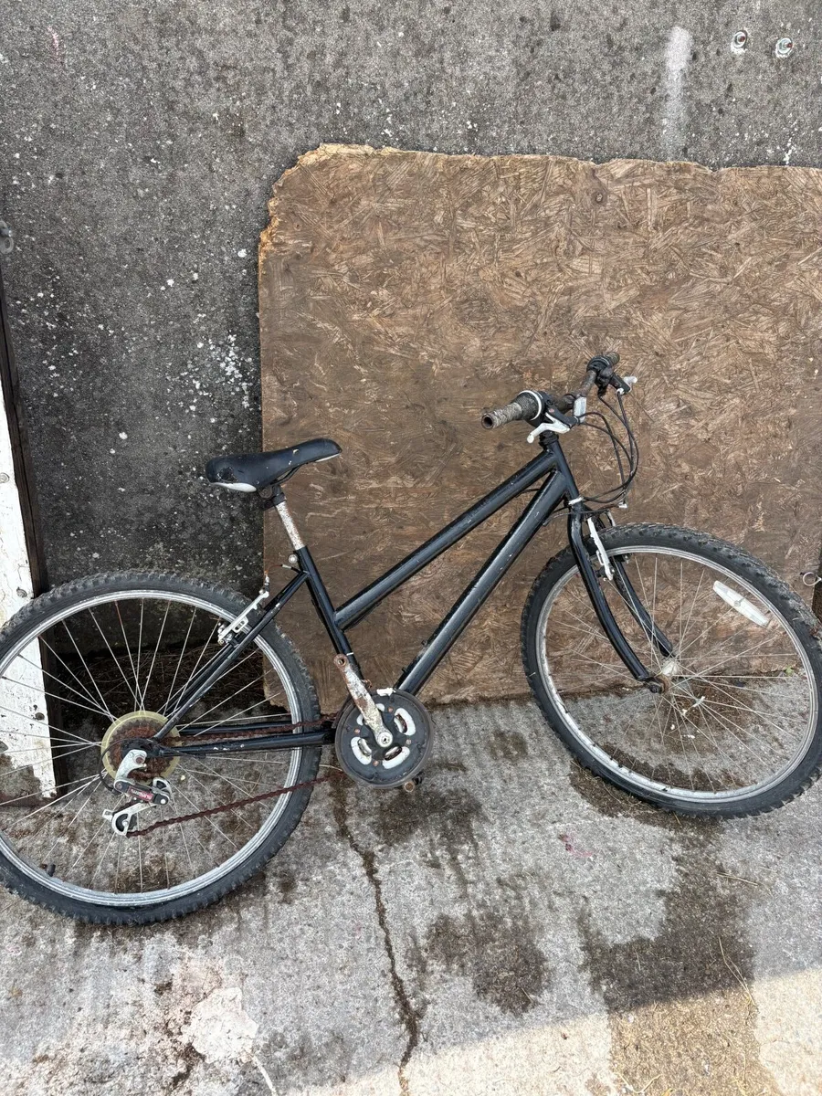 Child / Adult Bicycles in Red and Black - Image 4