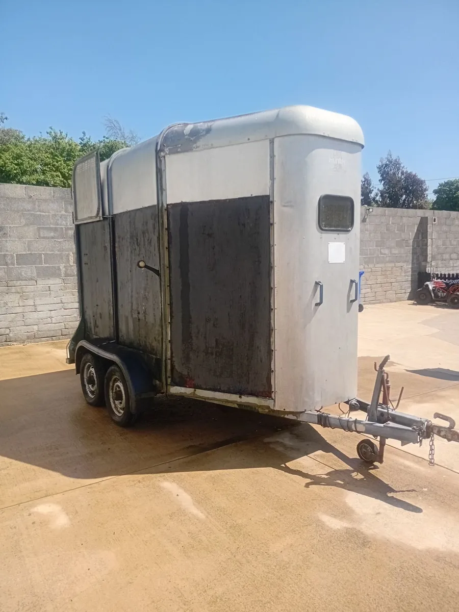 Ifor willams 505 Horse Box - Image 1