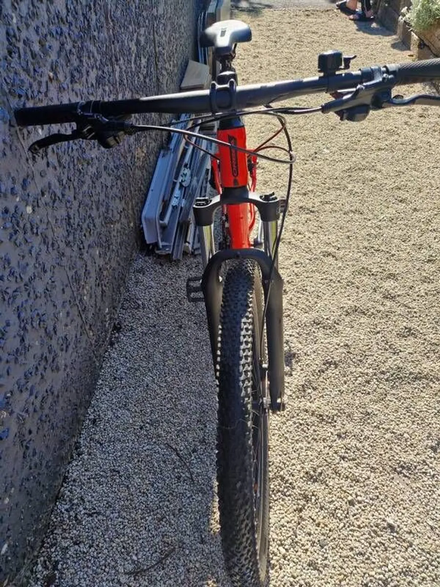 Orbea MX30 29 Hardtail Mountain Bike - Image 2