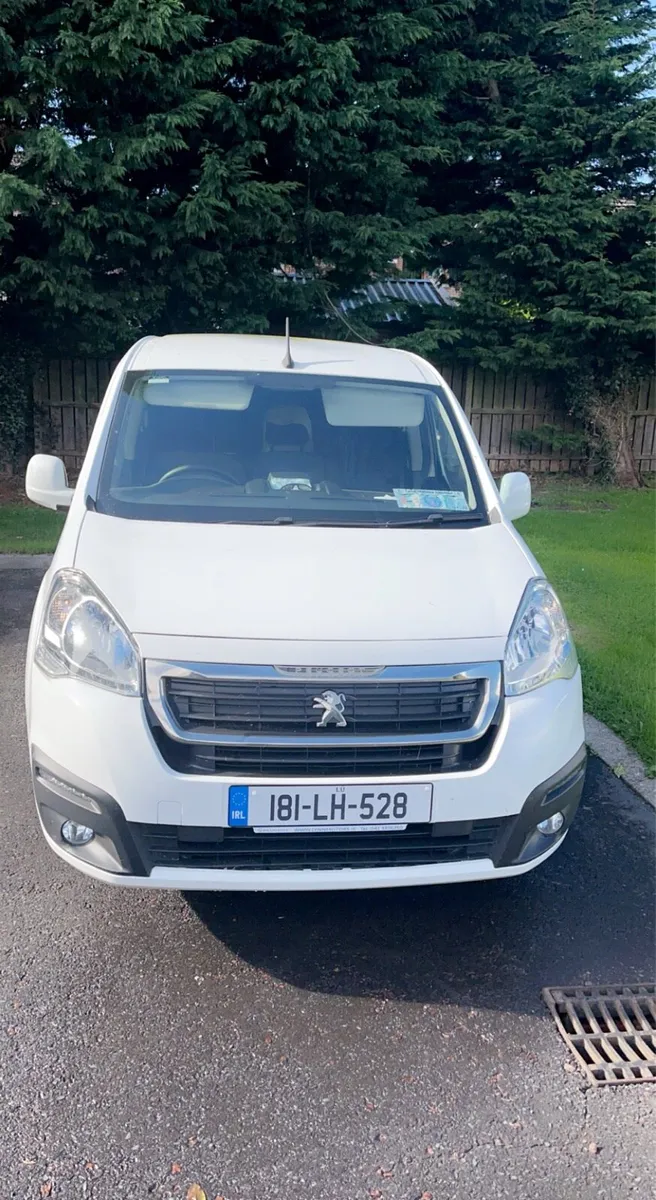 Peugeot Partner Professional Van - Image 2