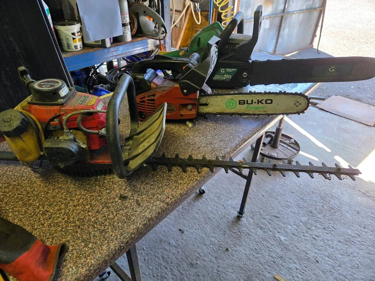 2 x chainsaws and hedge trimmer - Image 1