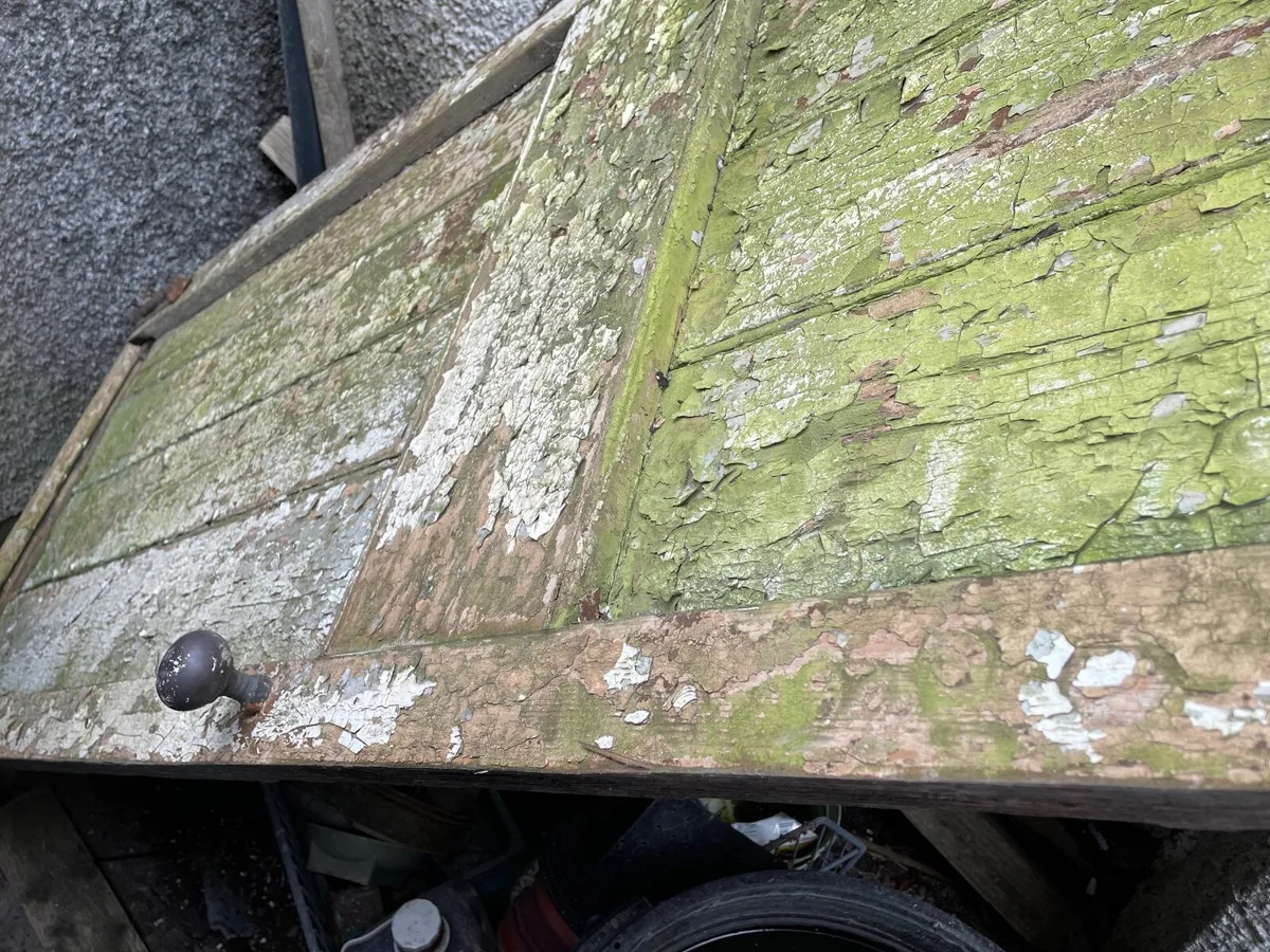 Kitchen Door - Free - Image 1