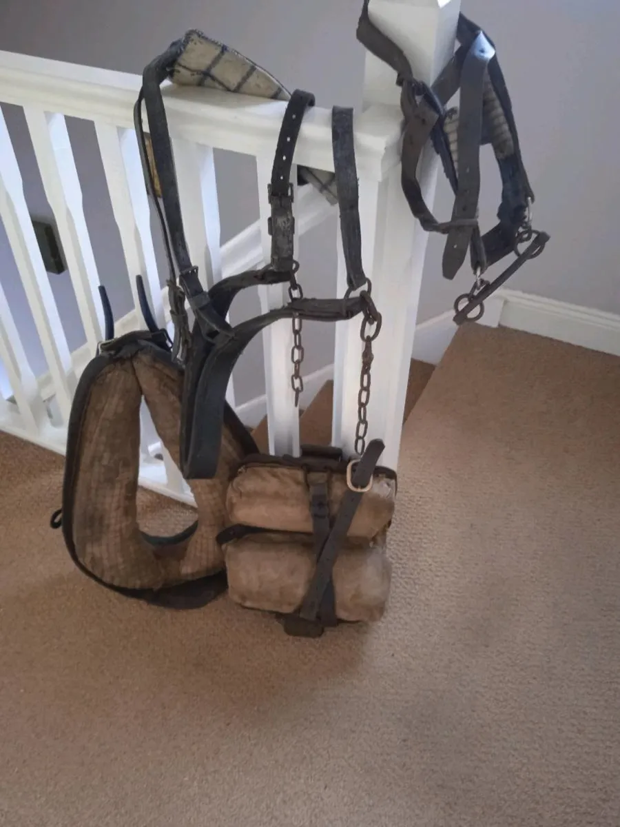 Horse & Donkey Tac - Image 2