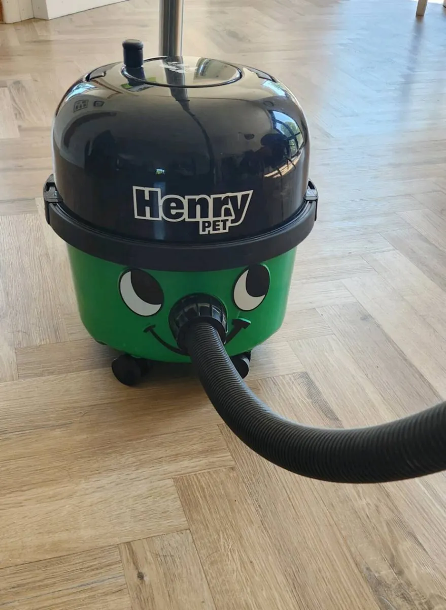 Henry Pet vacuum cleaner - 6 months old - Image 1