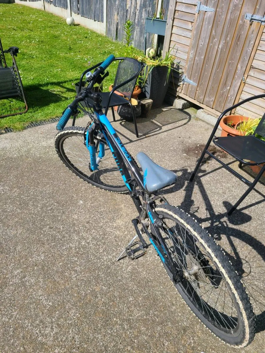 Bicycle - Image 2