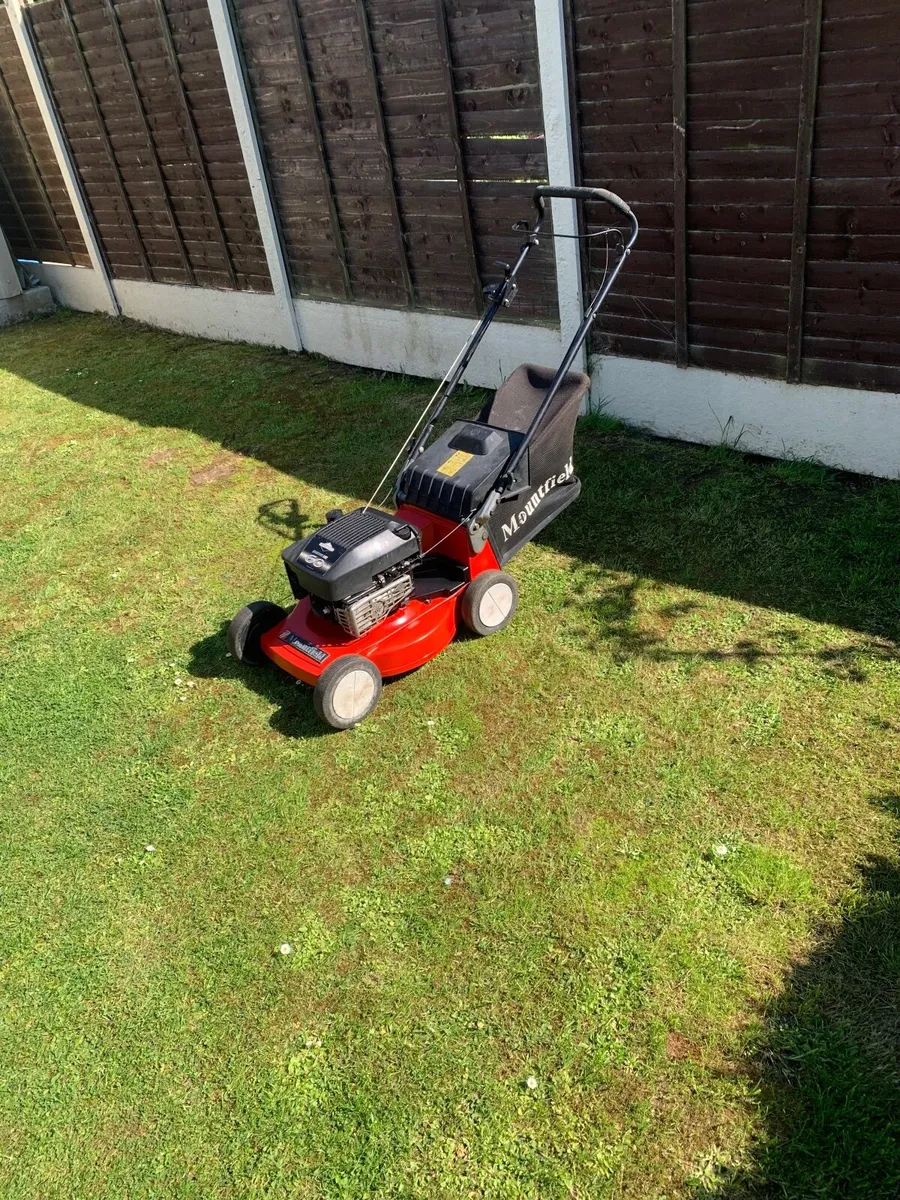 Lawnmower - Image 1