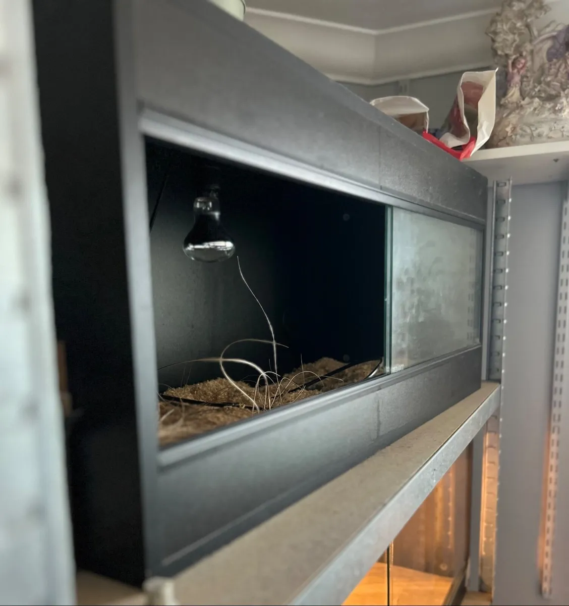 Wooden vivarium - Image 1