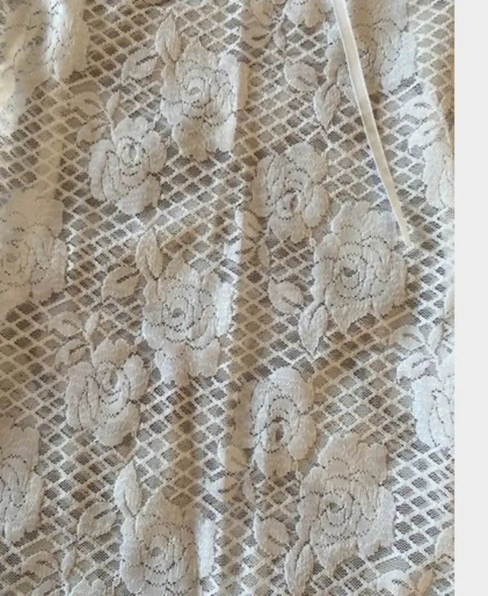BNWT Edikted Ayala Lace Sheer Minidress - Image 3
