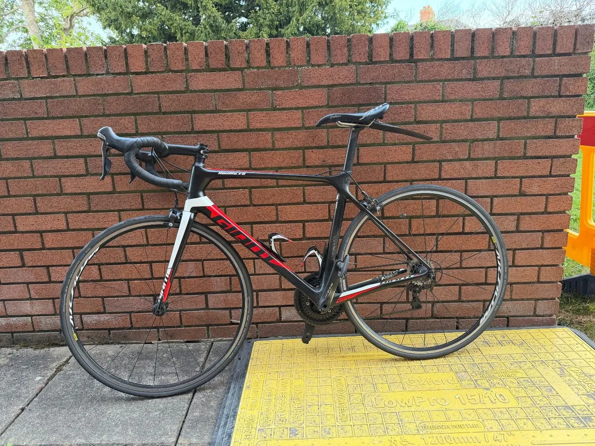 Giant TCR M/L - Image 2