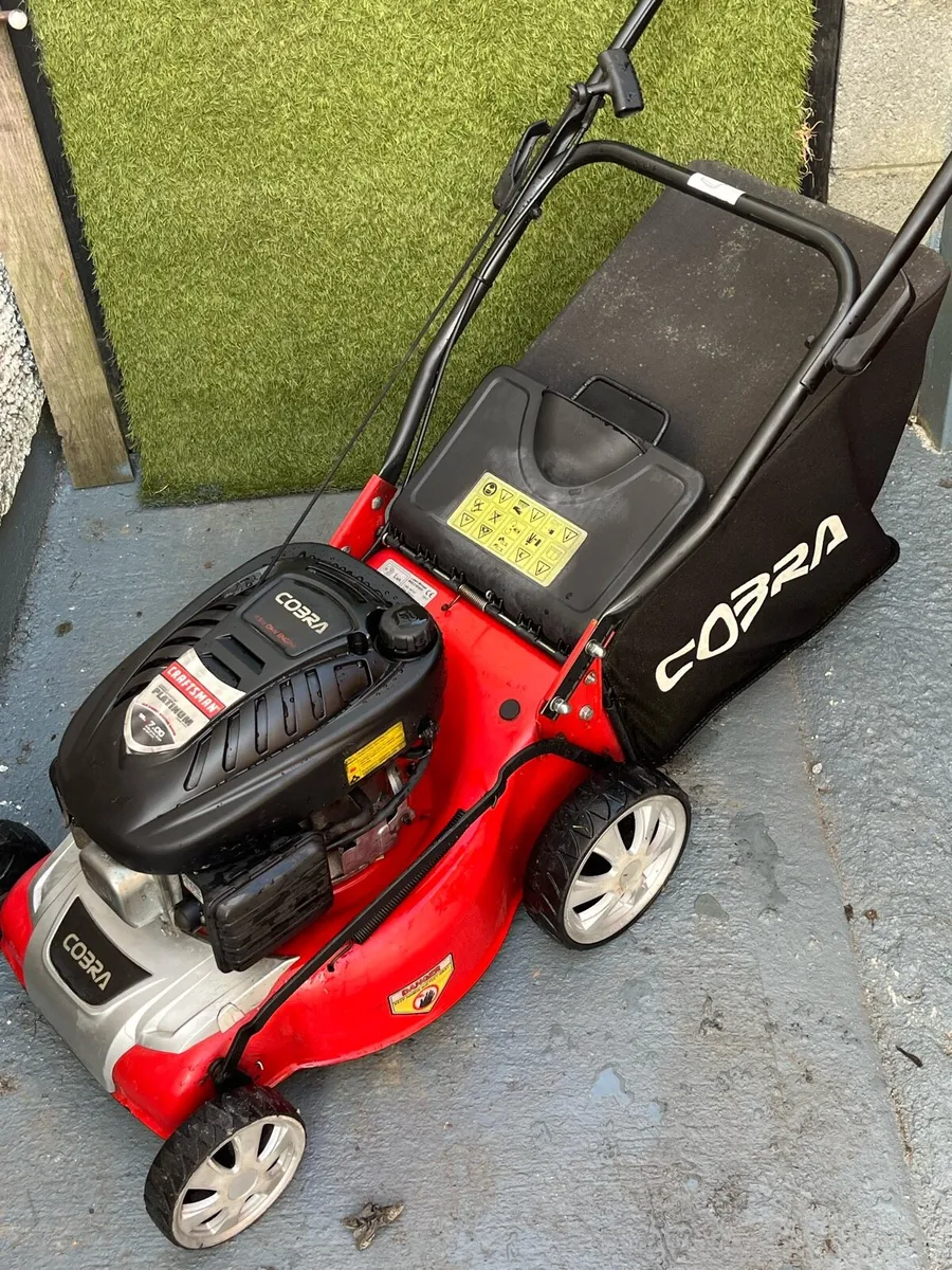 Lawnmower - Image 1