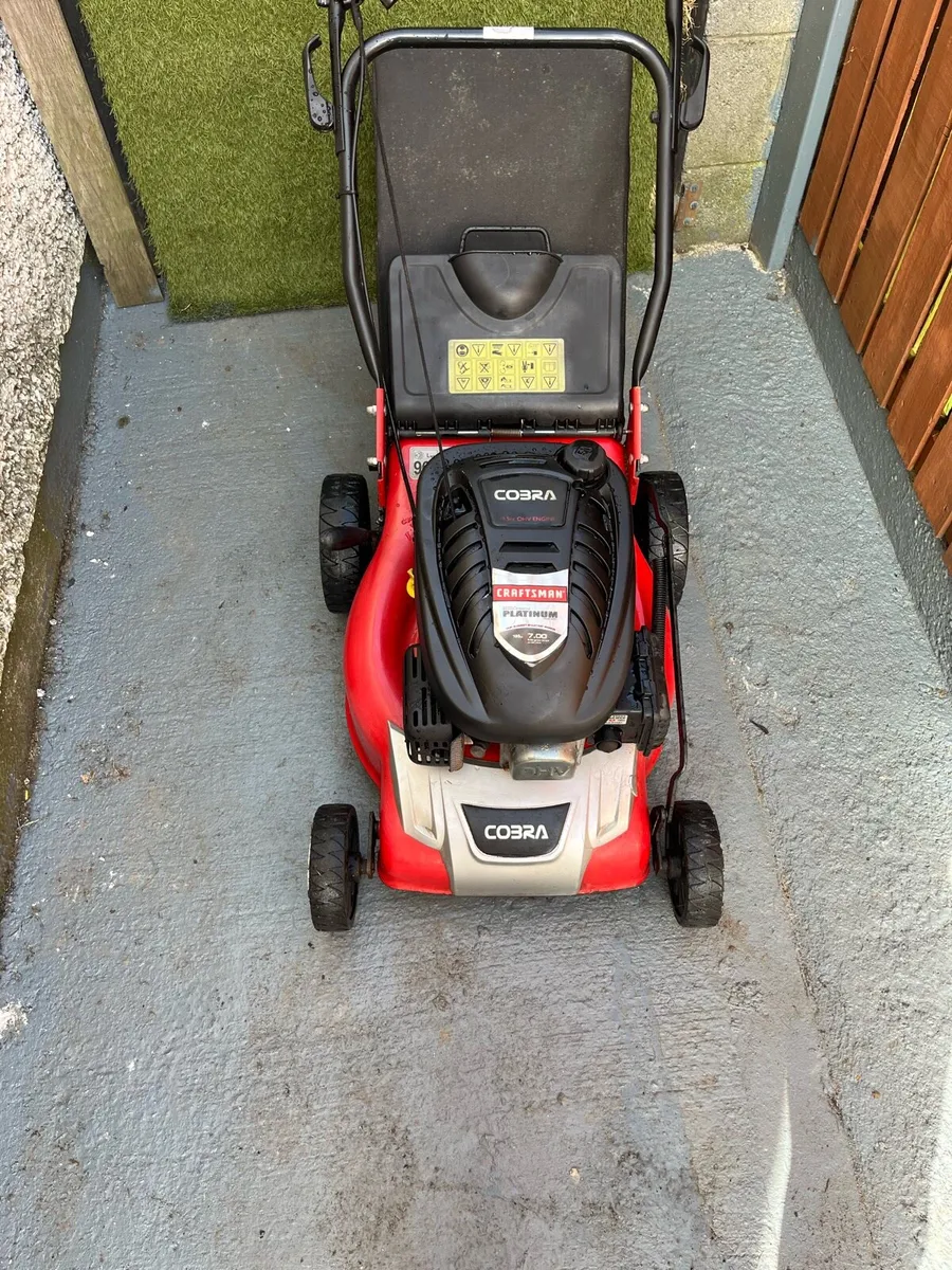 Lawnmower - Image 3