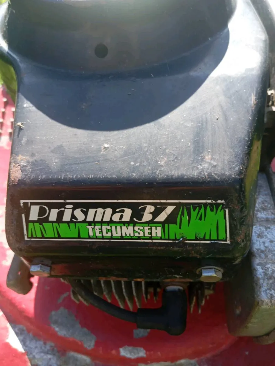 Harry petrol lawnmower - Image 2