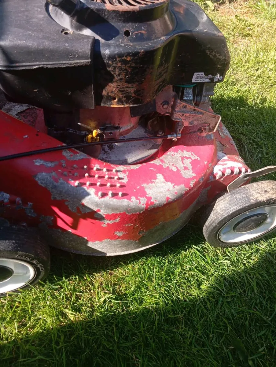 Harry petrol lawnmower - Image 4