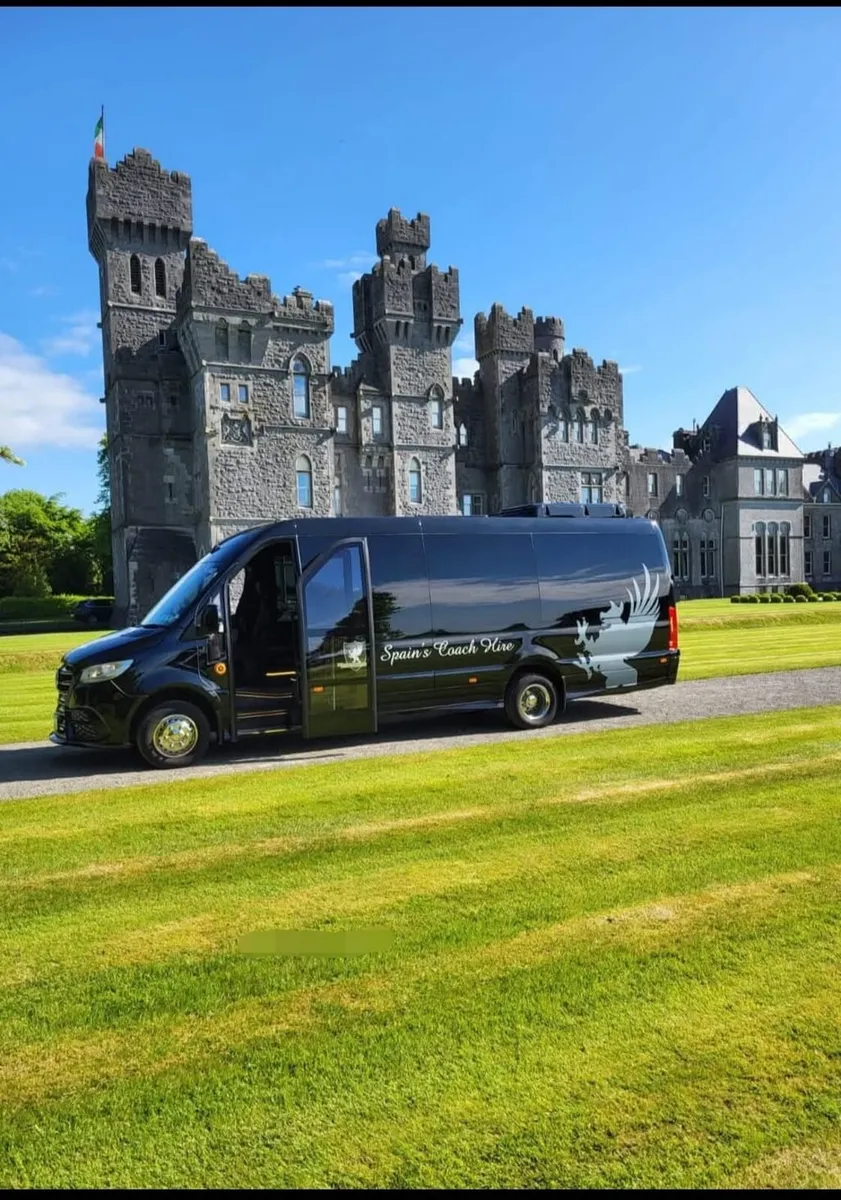 Mercedes Sprinter 11 Seater VIP - Image 1