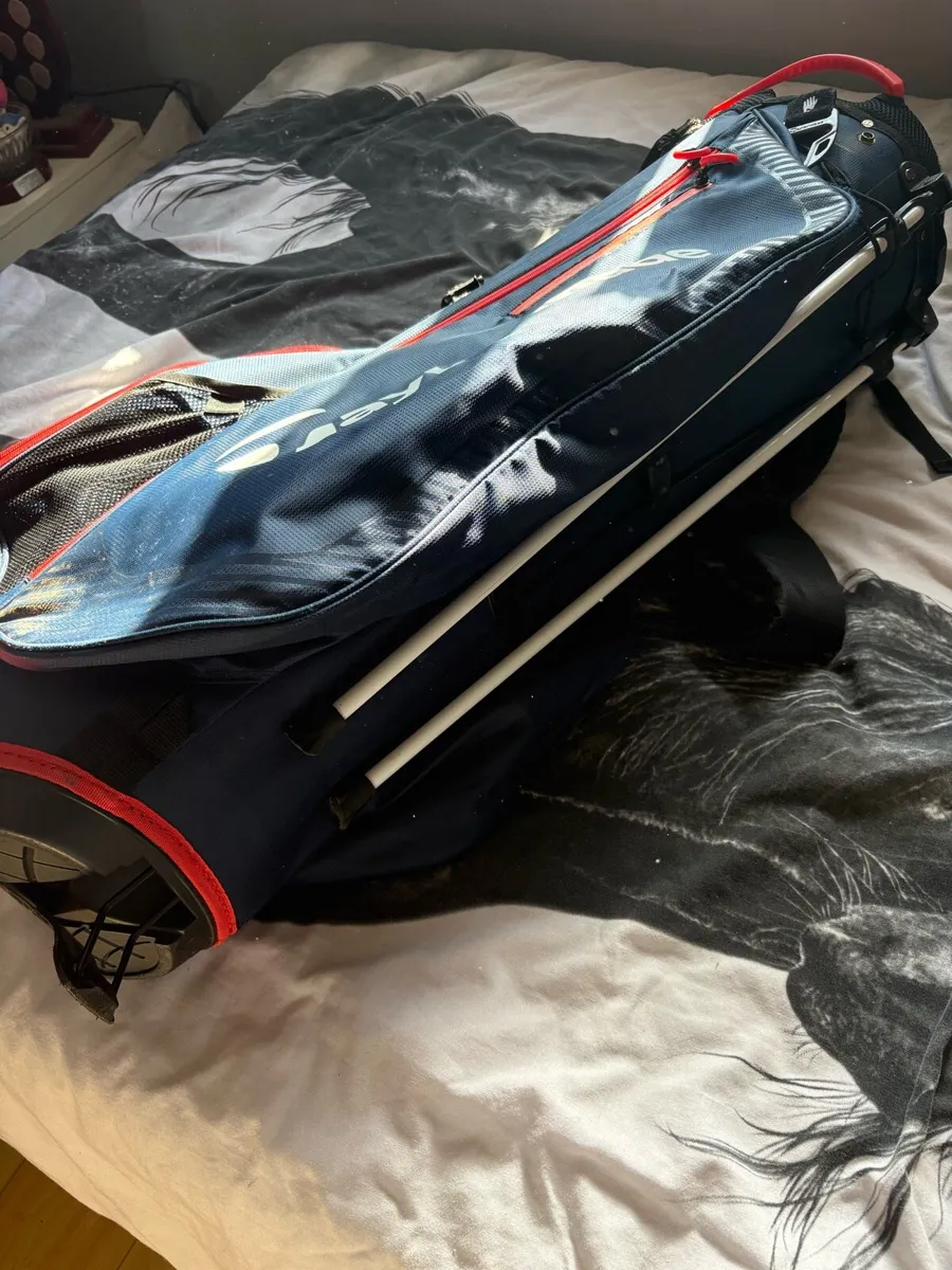 Taylormade stand bag - Image 2