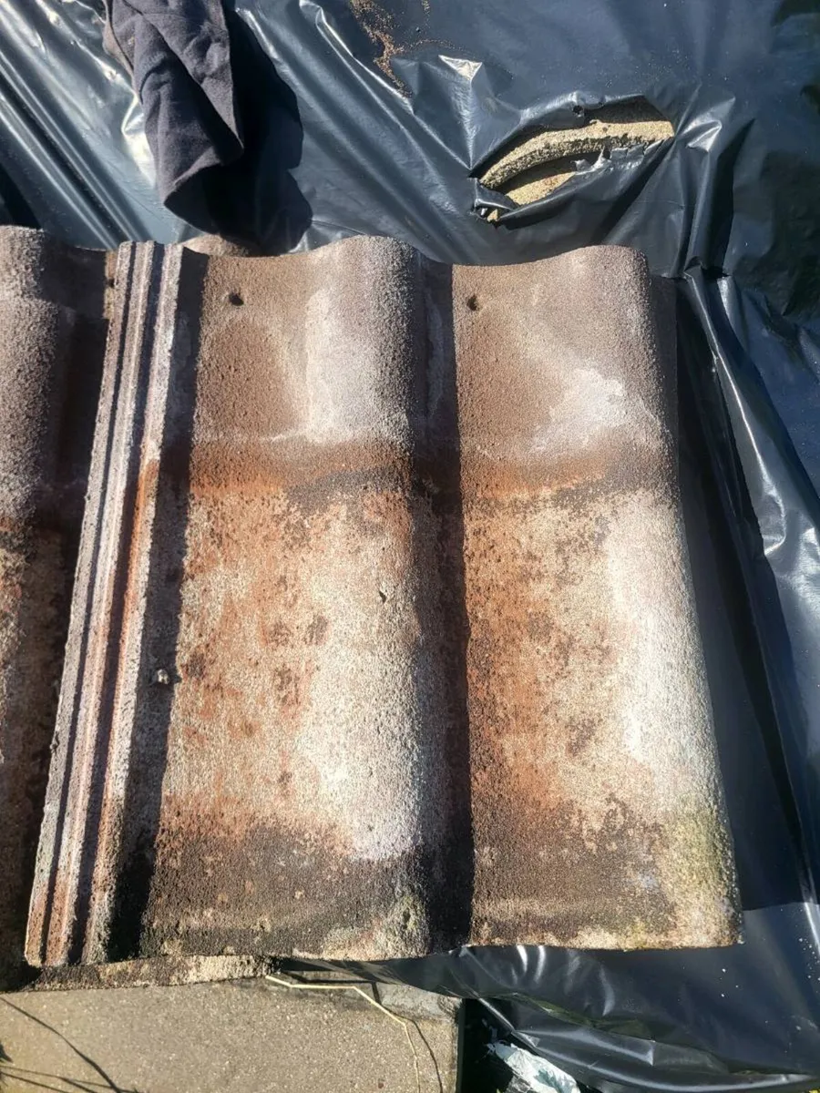 Roof tiles - Image 1