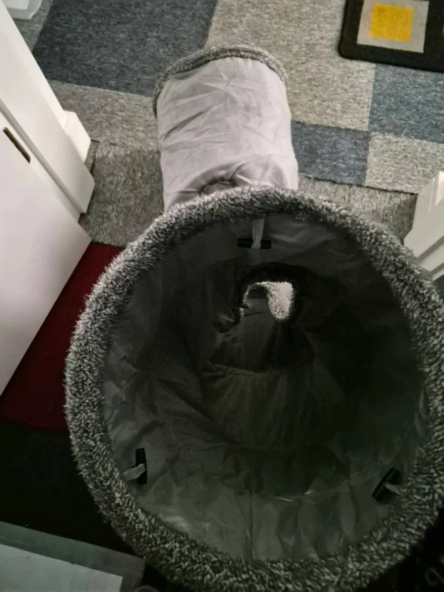 PET TOY - Image 2
