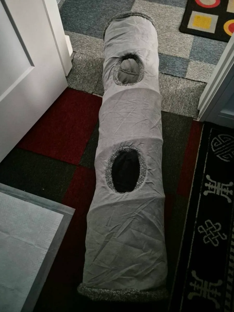 PET TOY - Image 3