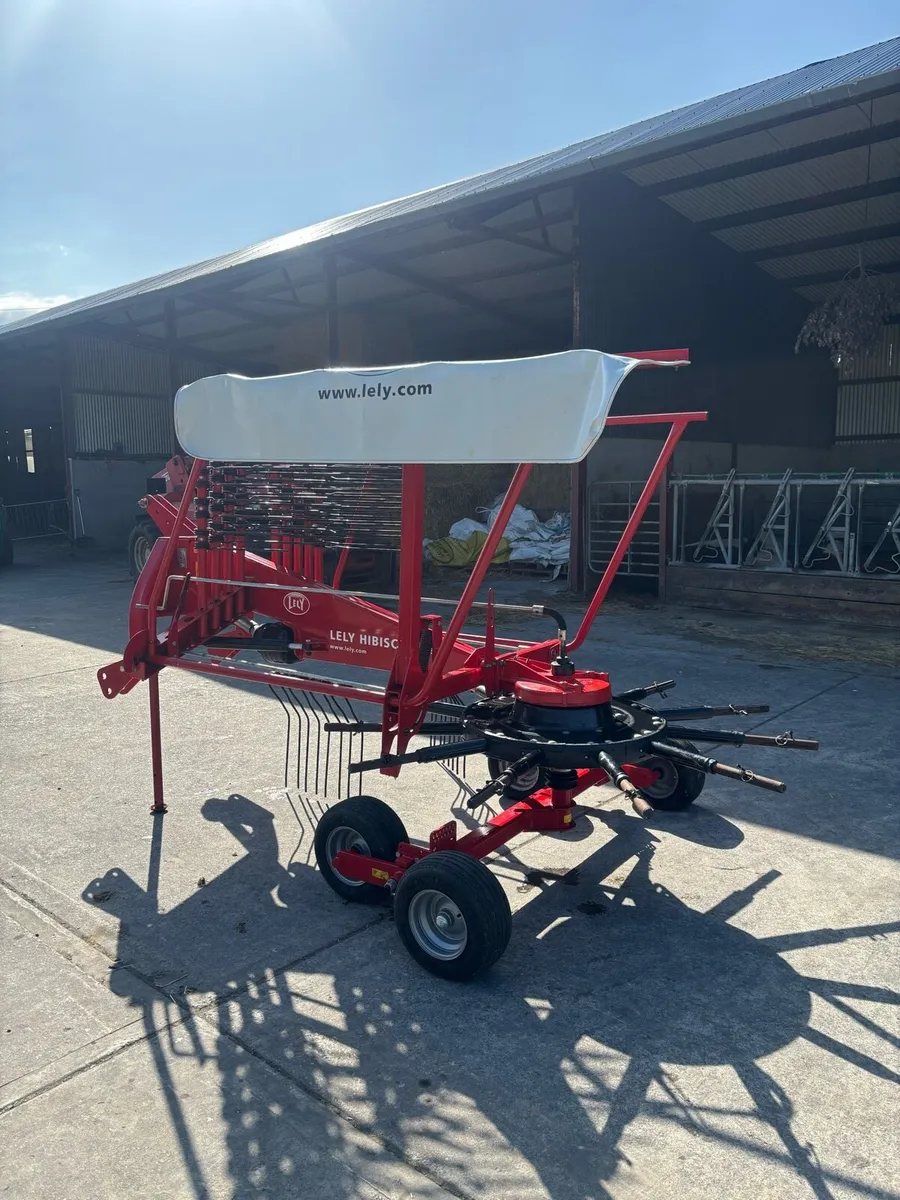 Lely Hibiscus 425 S - Image 3