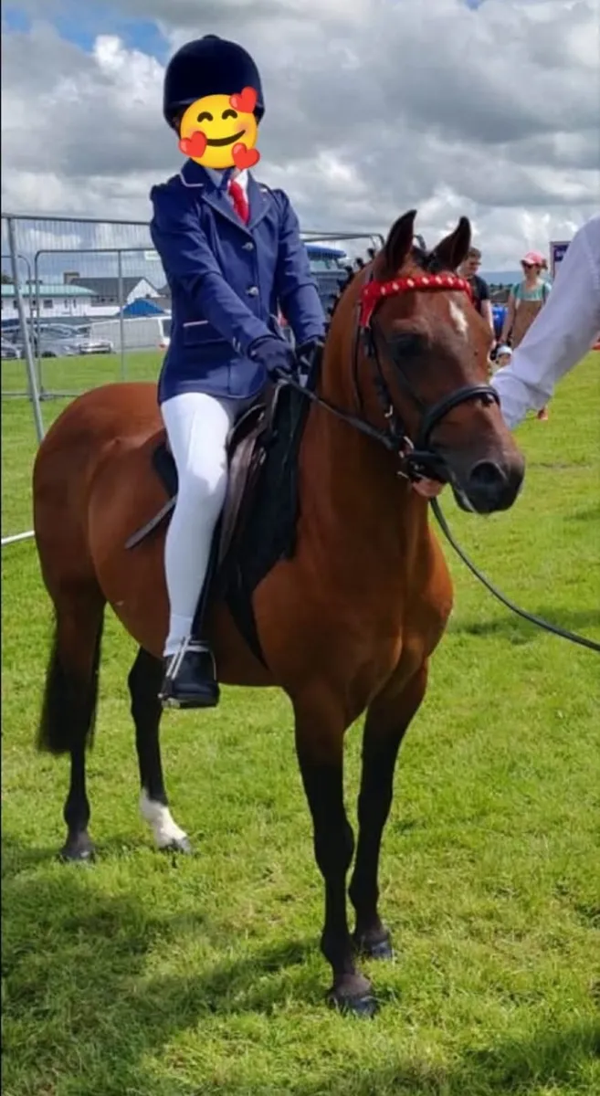 Lead Rein Pony
