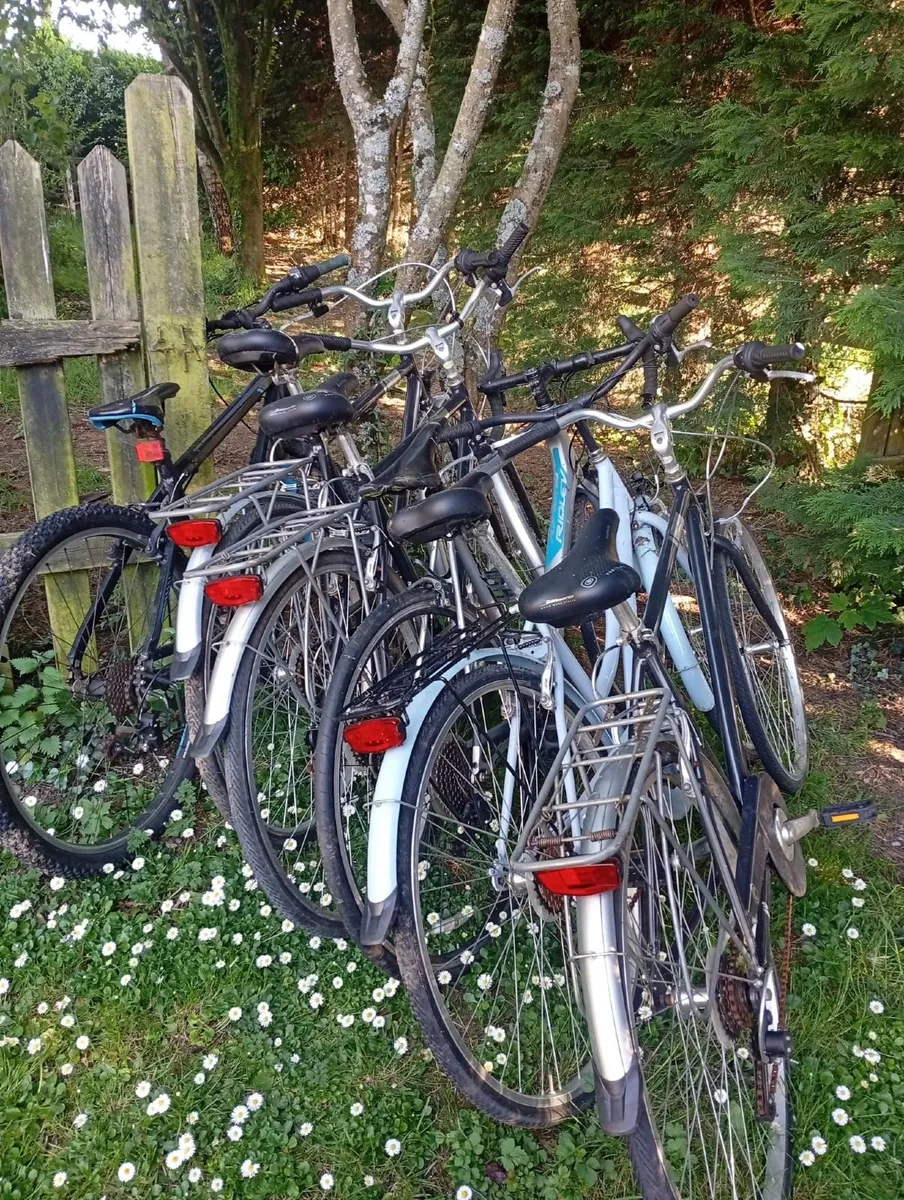 Five Bicycles - Image 1