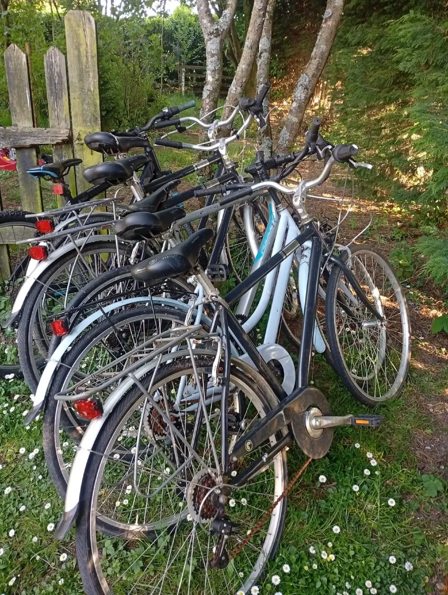 Five Bicycles - Image 2