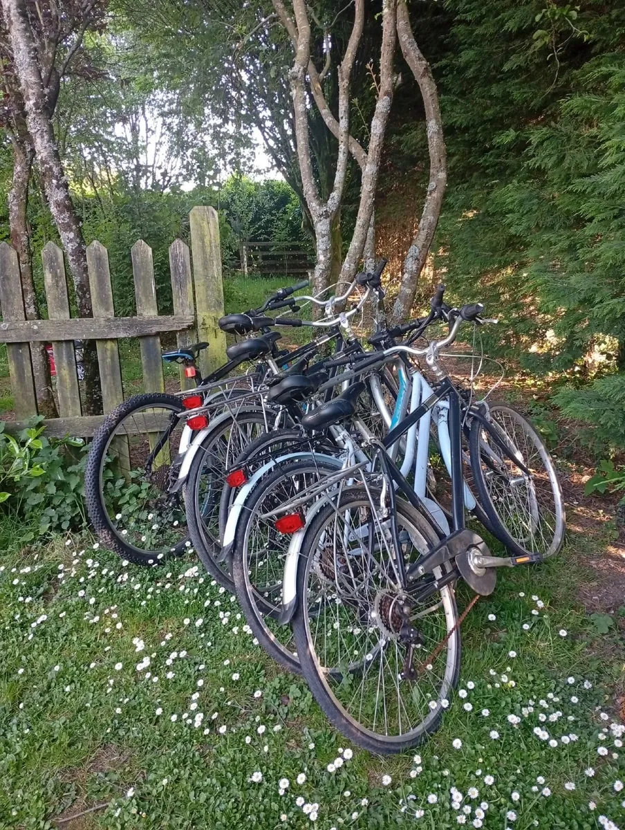 Five Bicycles - Image 3