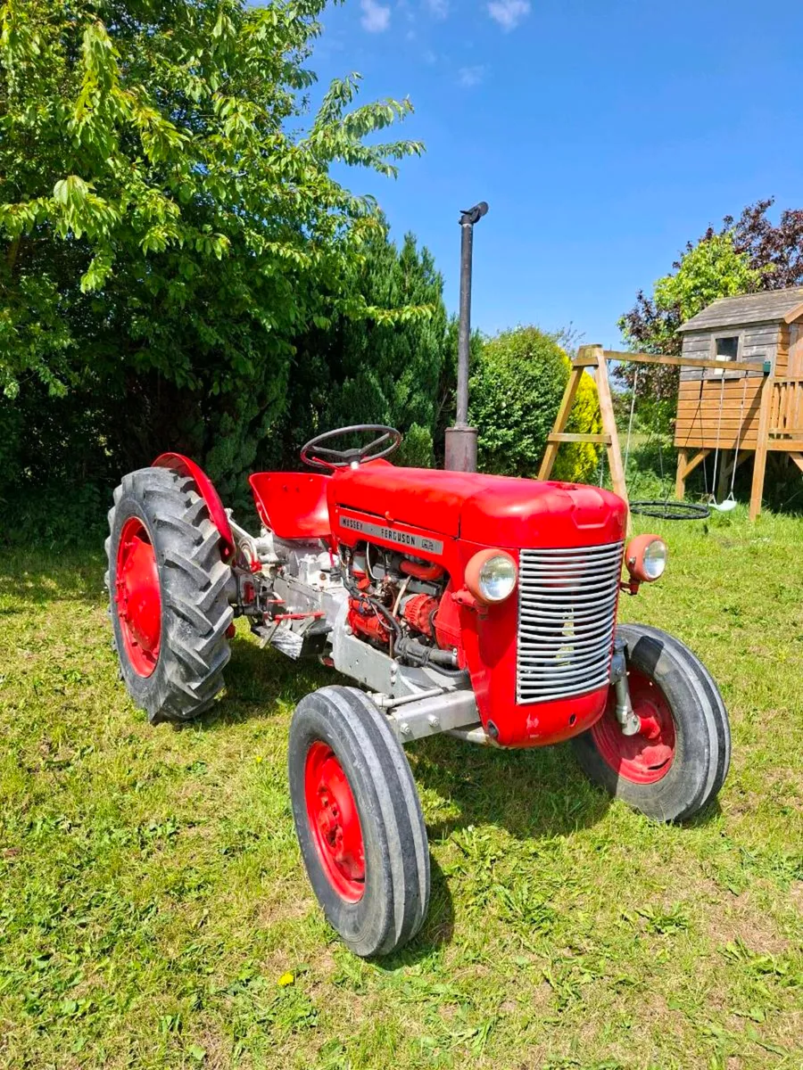 MASSEY FERGUSON 25 - Image 2