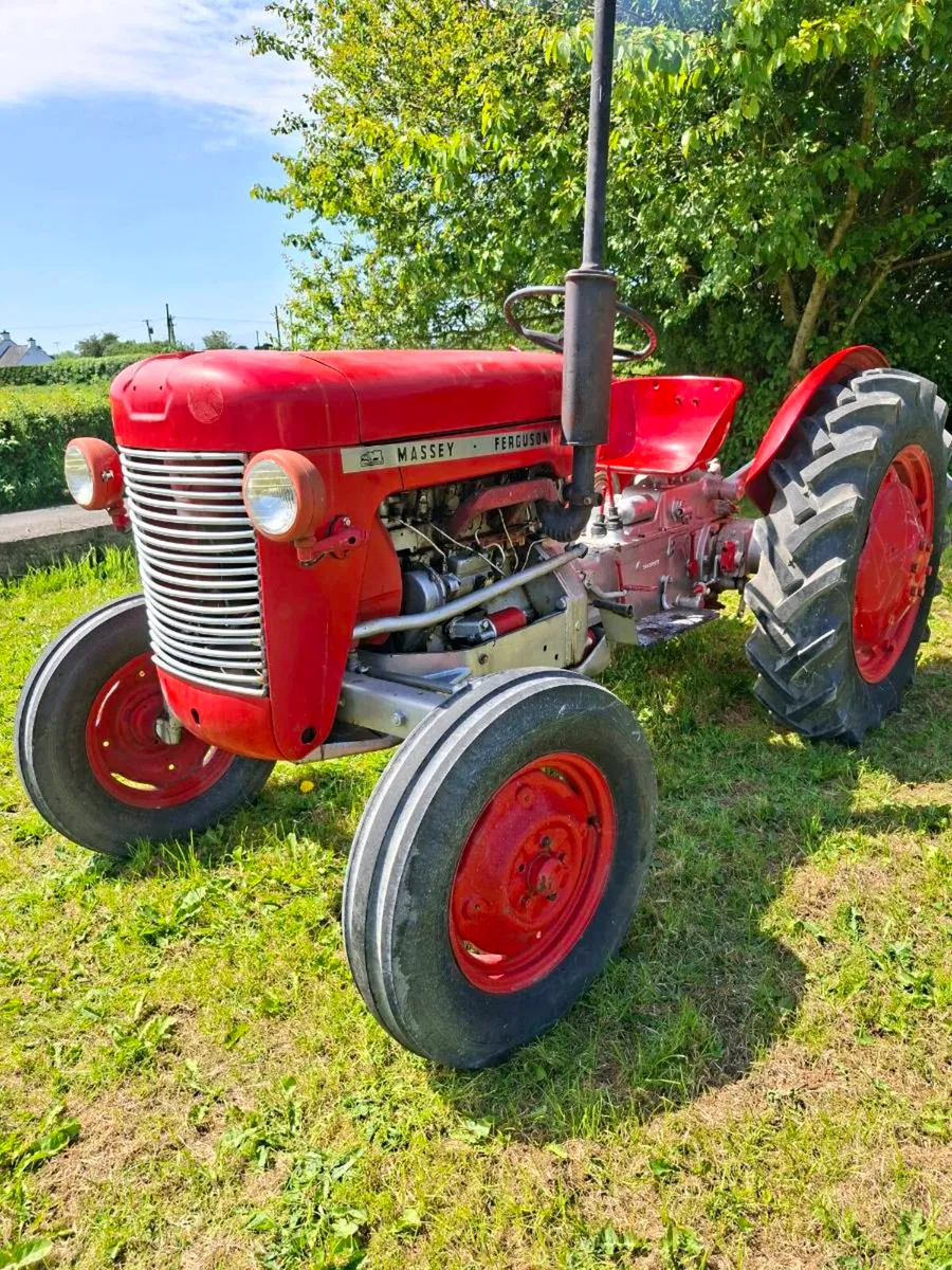MASSEY FERGUSON 25 - Image 1