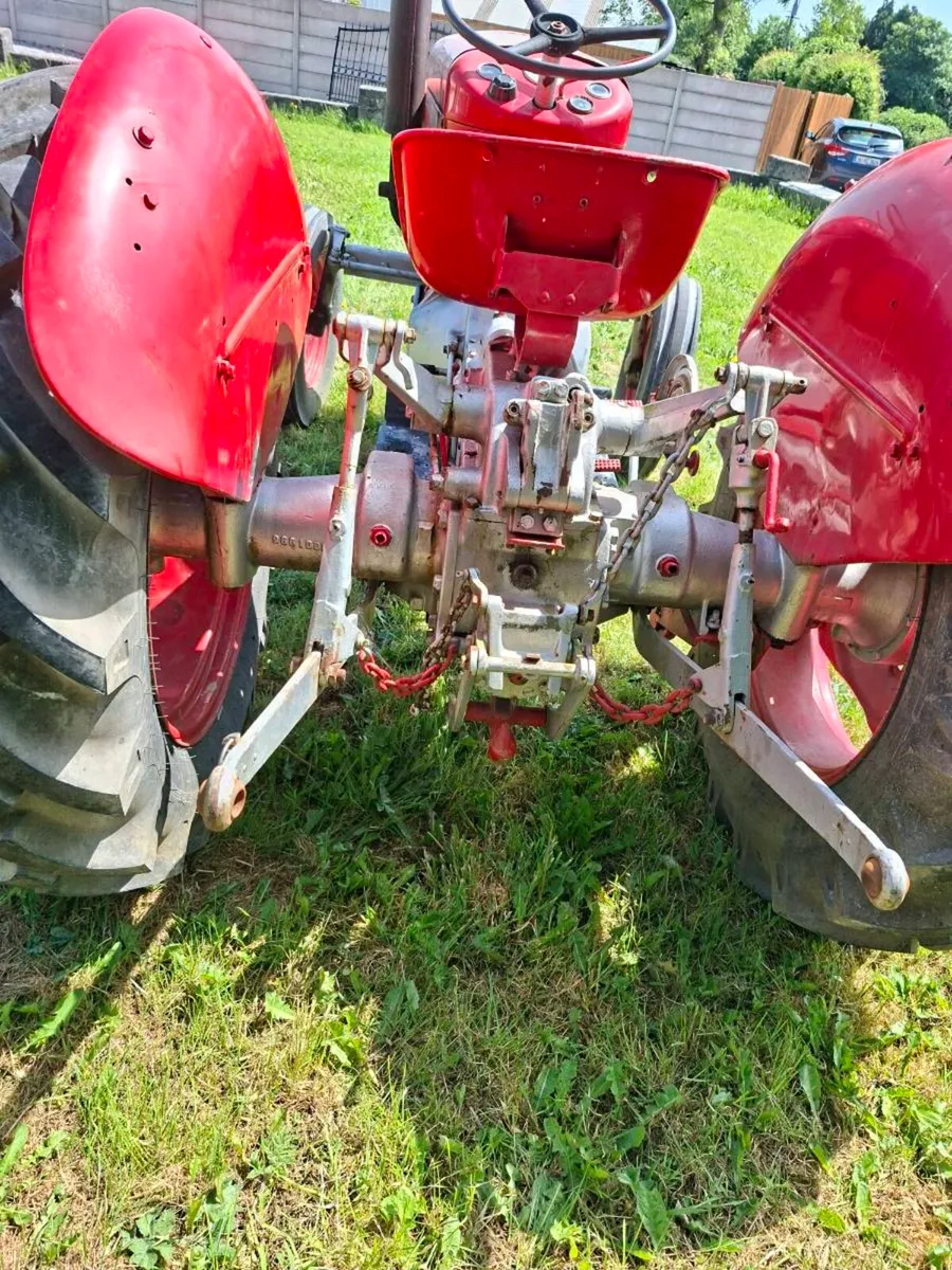 MASSEY FERGUSON 25 - Image 3