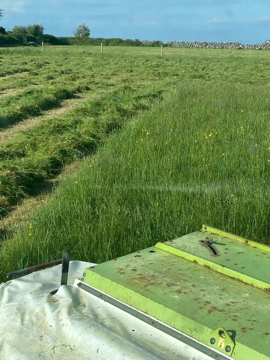 Organic haylage,  wrapping Wednesday - Image 1