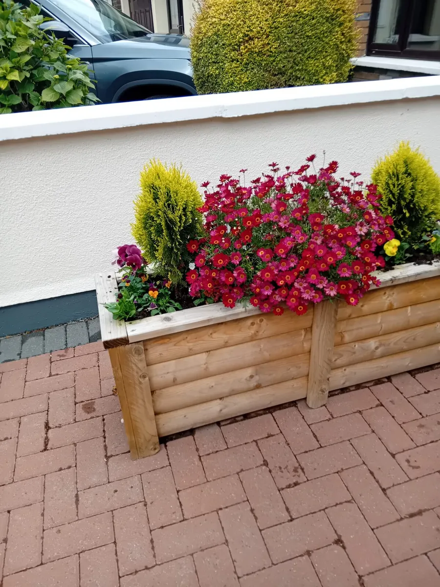 Garden planters - Image 4