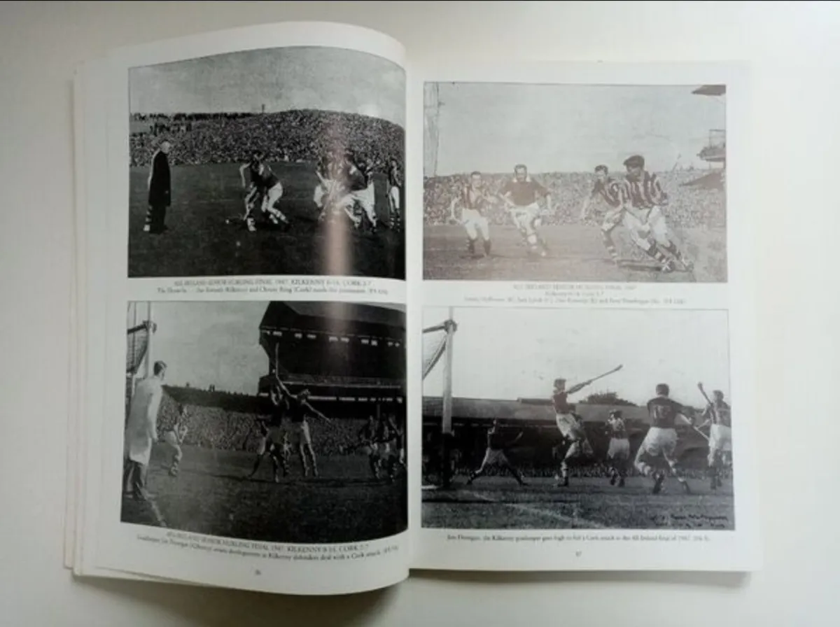 Ten Decades of Glory - Hurling History Book - Image 2