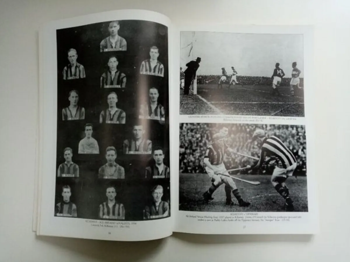 Ten Decades of Glory - Hurling History Book - Image 3