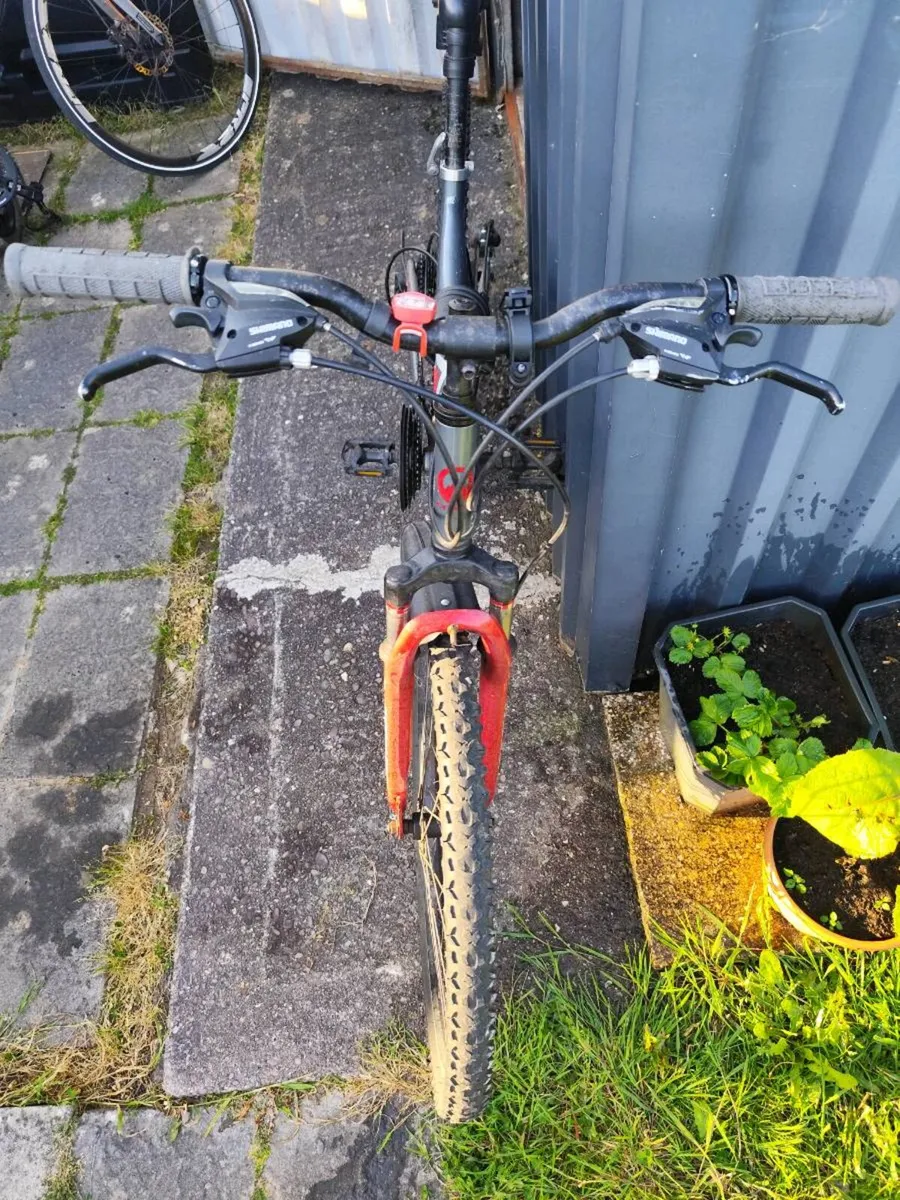 Bicycle - Image 2