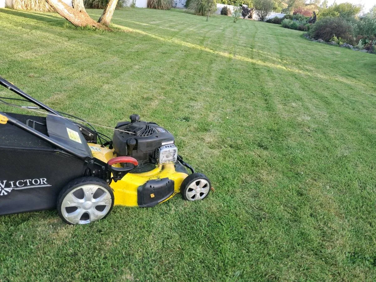 Lawnmower - Image 2