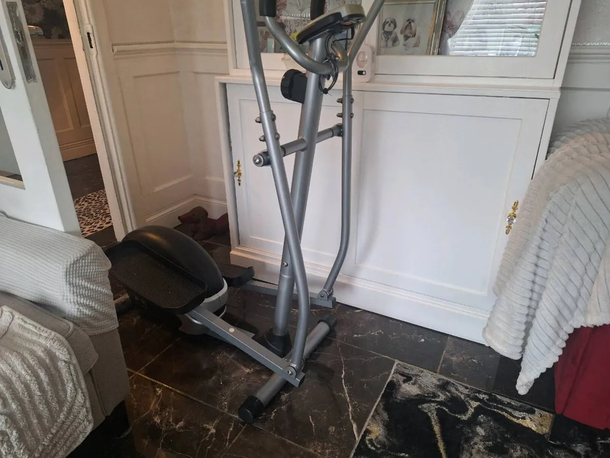 Elliptical Strider - Image 3