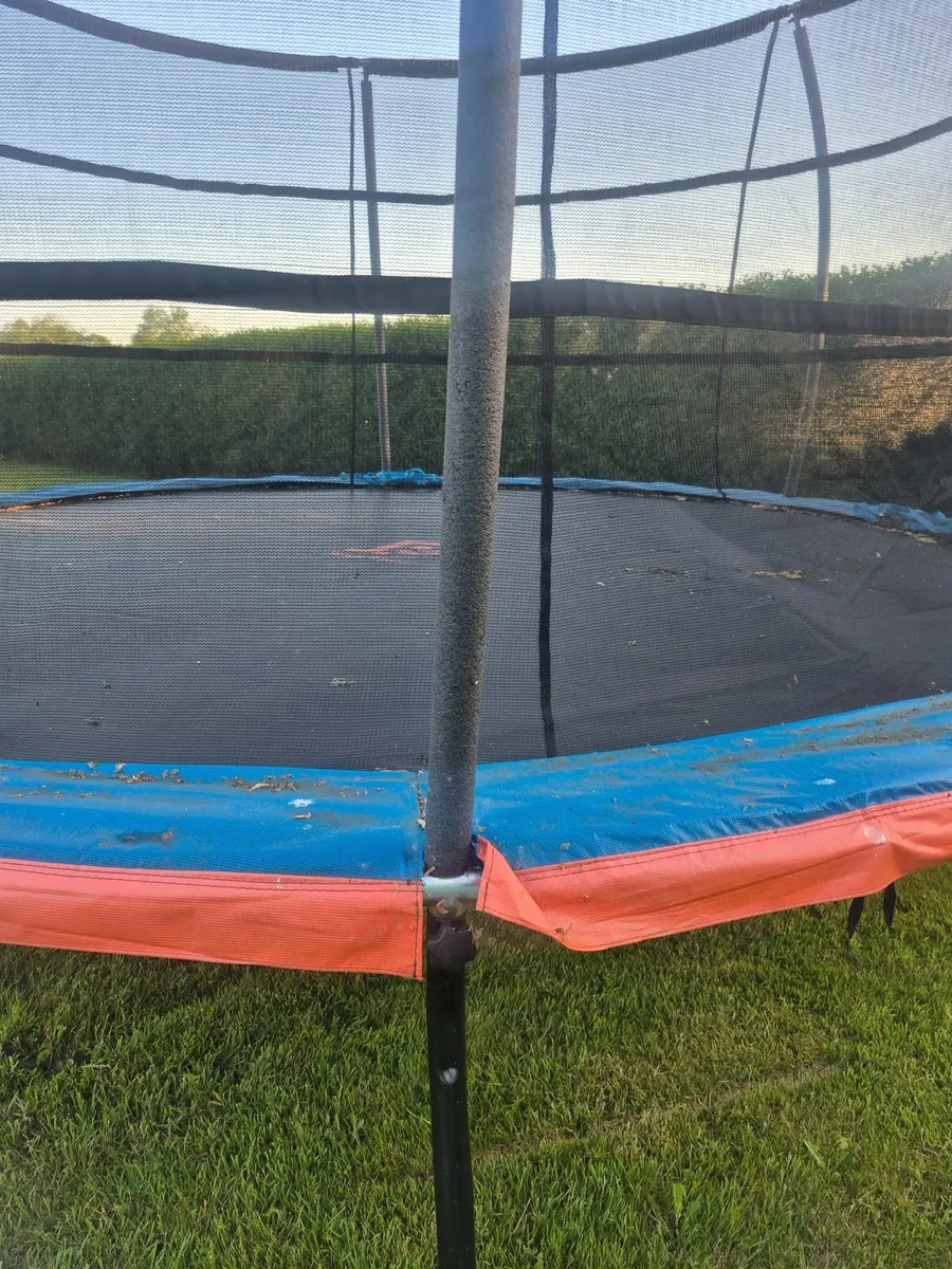 Trampoline - Image 4