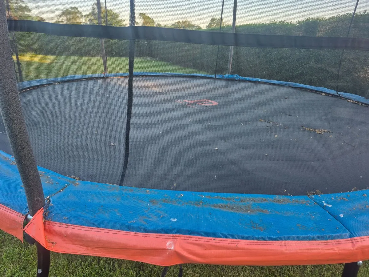 Trampoline - Image 3
