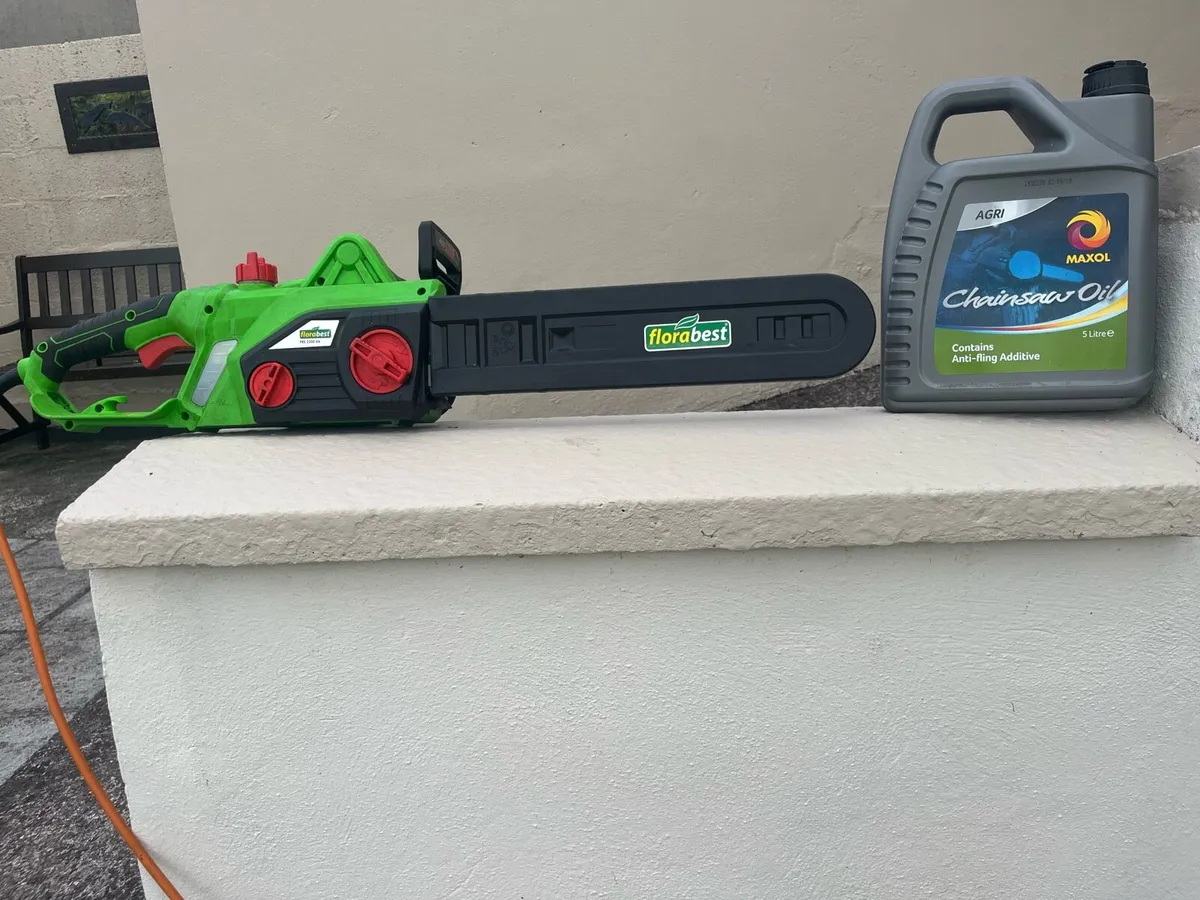 Chainsaw and chainsaw oil. - Image 2