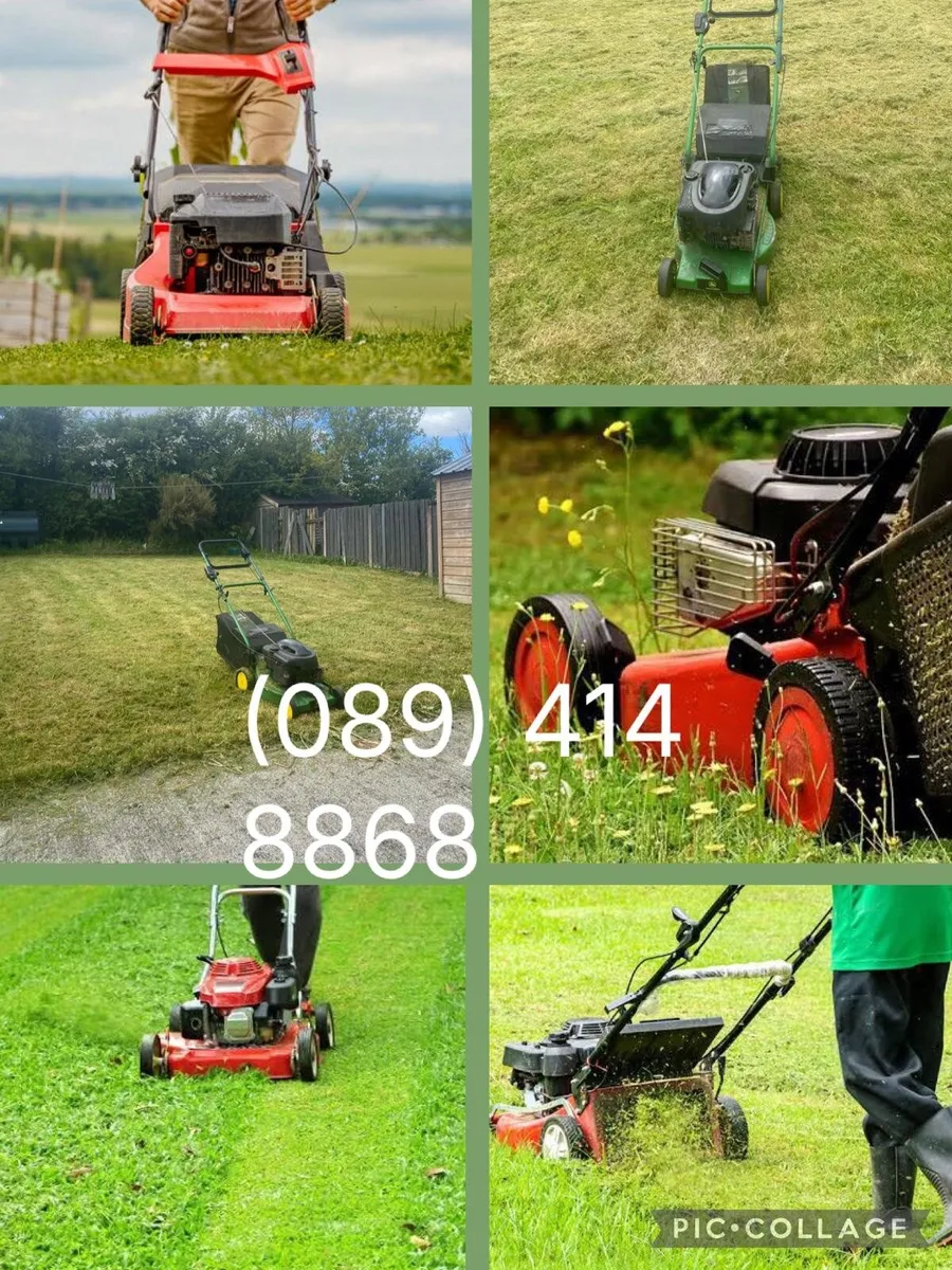 If anyone is looking to get there grass cut in Lo