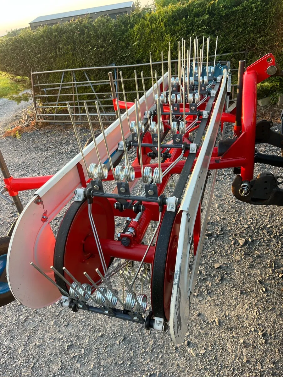 Hay flash rake - Image 4