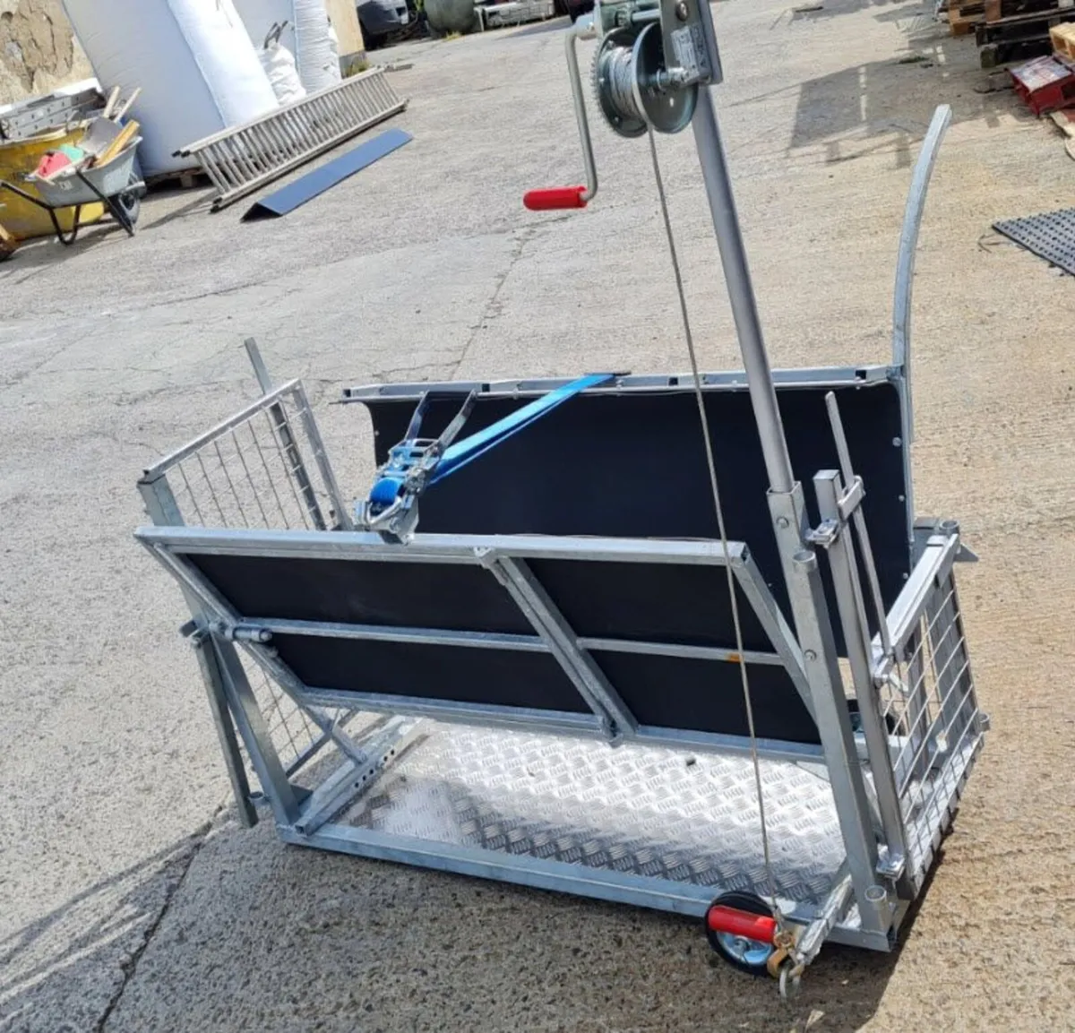 Tilt Table for Sheep