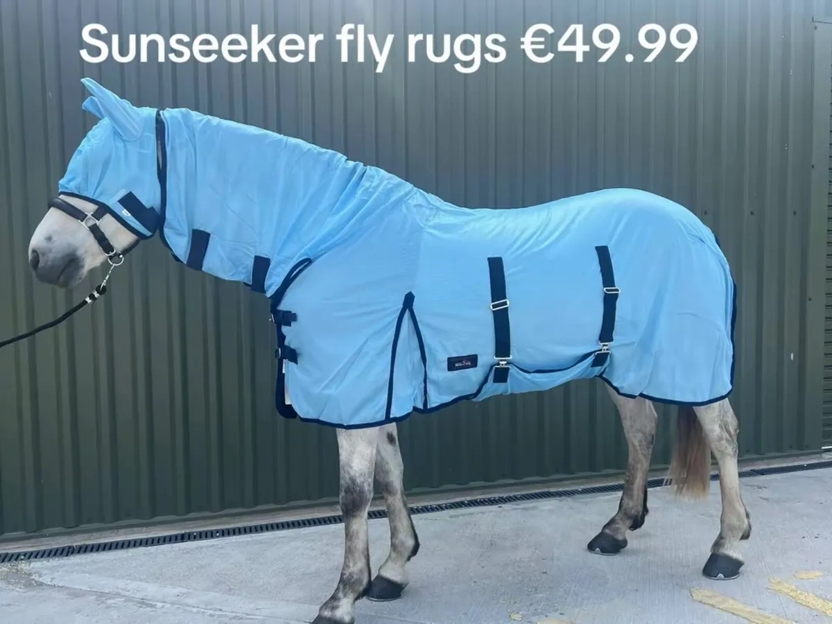 Fly rugs with detachable heads €49.99