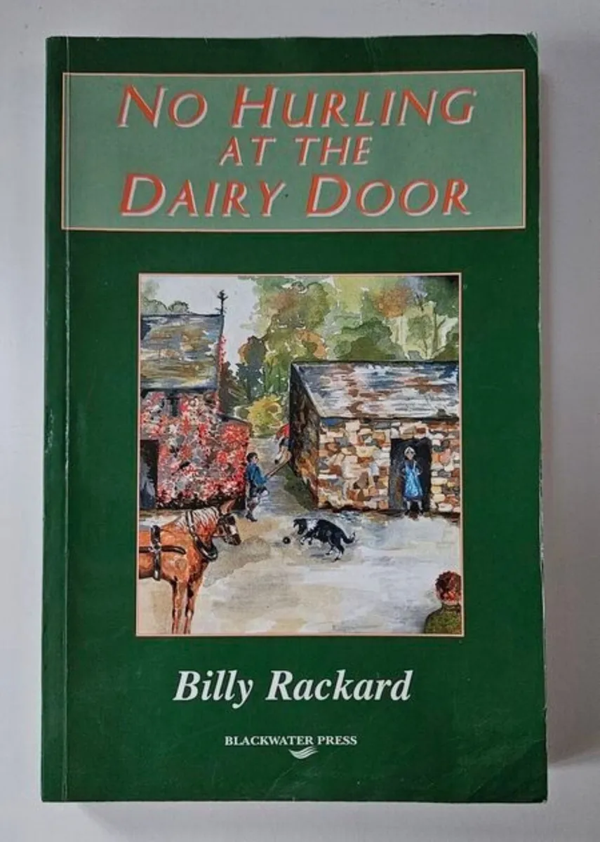 No Hurling at the Dairy Door - GAA Book - Image 1