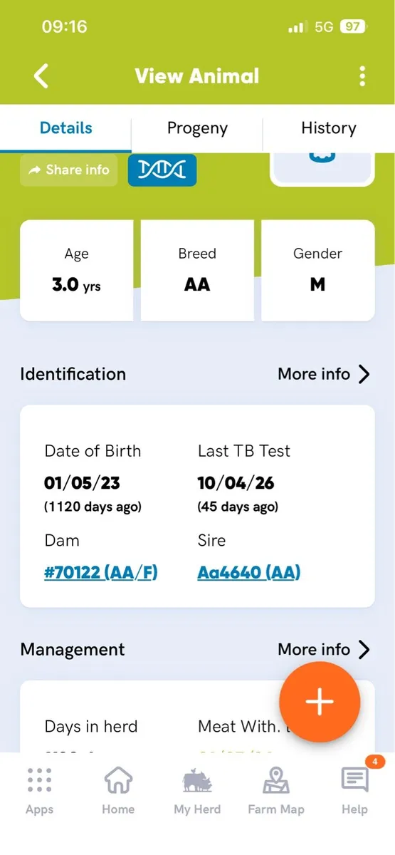 Pedigree Angus Bull - Image 3