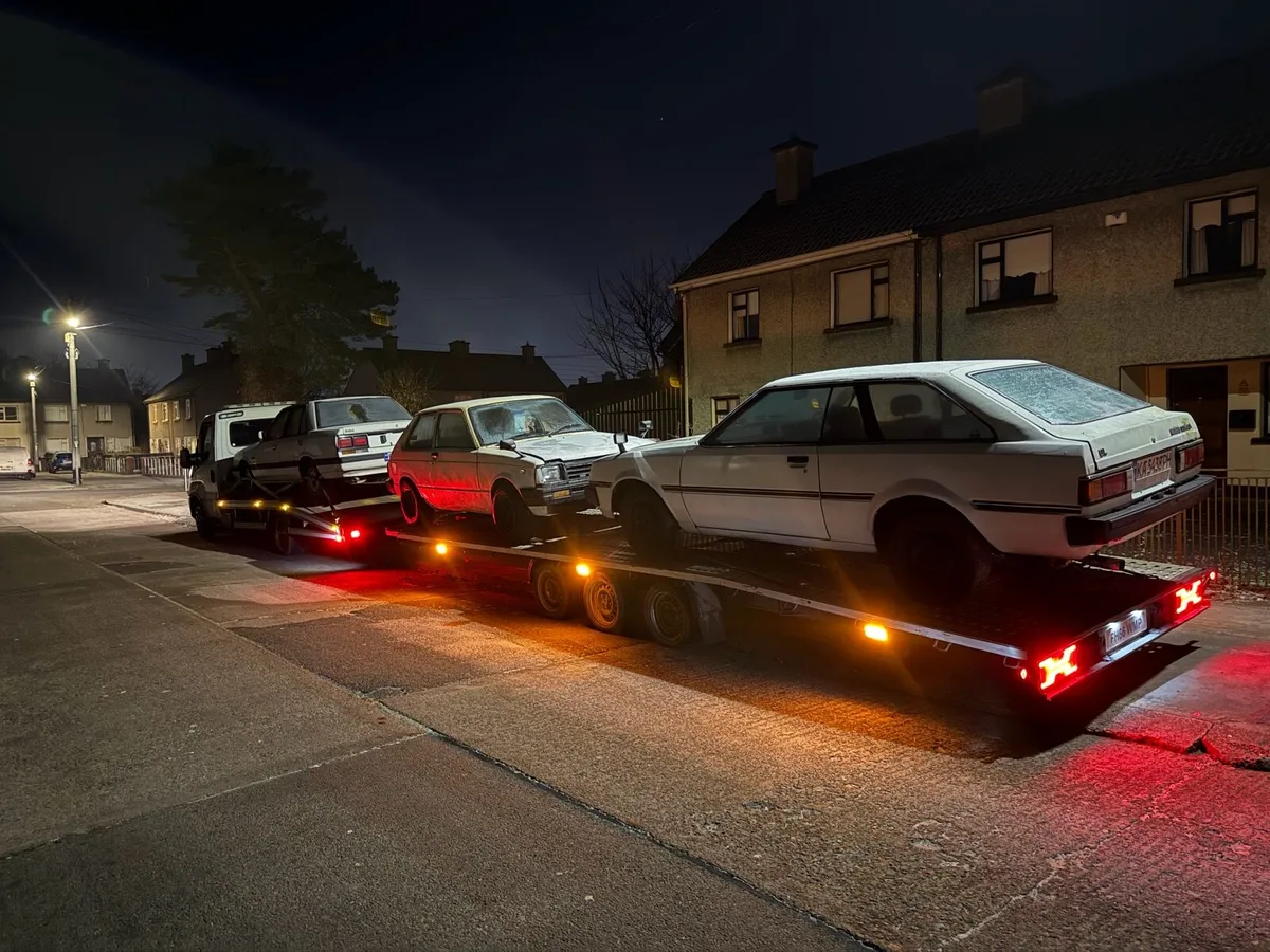 2 car trailer - Image 2