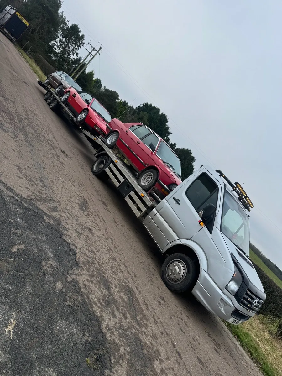 2 car trailer - Image 3